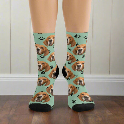 Custom Beagle Breed Dog Face Socks